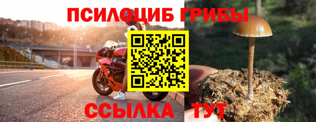 Галлюциногенные грибы Psilocybine cubensis  Галлюциногенные грибы Cubensis  хочу   Вход с VPN  Старая Русса 